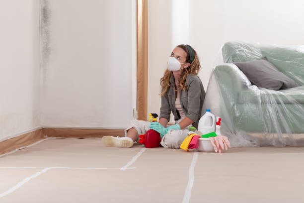 Reliable Mold Removal contractor in Auburn, IL by 24 Hour Mold Removal